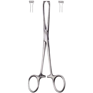 Livingstone Allis Tissue Forceps
