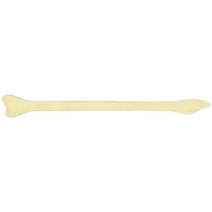 Livingstone Cervical Scraper (Cervical Spatula), Ayers Broad End, Biodegradable Wood, 500/Box Box