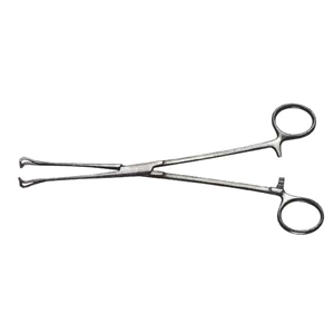 Babcock Tissue Forceps, 16cm, Each Each